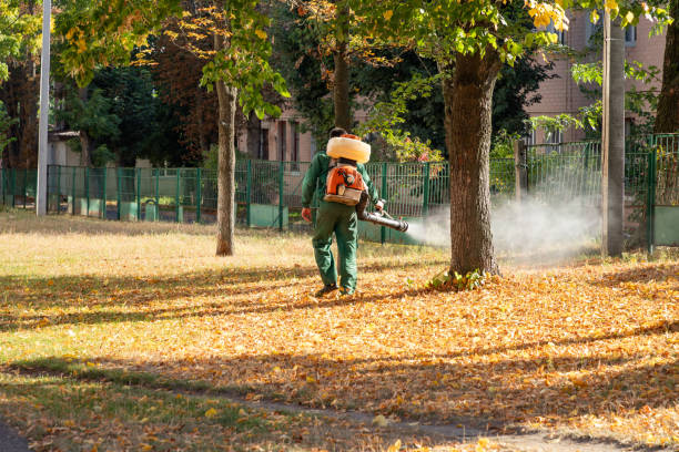 Reliable Hillsdale, NJ Pest Control Solutions